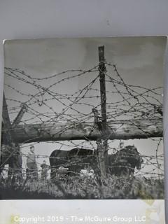 Collection of B&W Photos from WW II - European Theatre