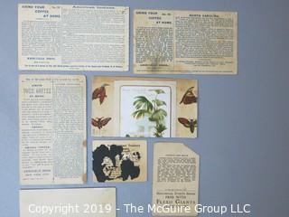 Collection of Ephemera including Arbuckle Tobacco Cards