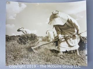 Photo: Historic: mixed grouping wire photo Delaware Bridge, male students in Egypt?, farm workers in field, Chicago Athletic Assn.