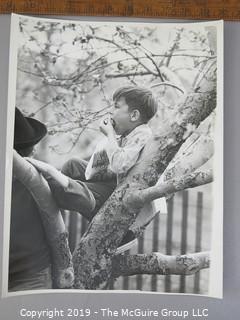 Photo: Large Format B&W: Arthur Rickerby: Historical: Americana: boy eating apple in apple tree