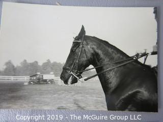 Photos: Historical: Unnamed: Female Equestrians 