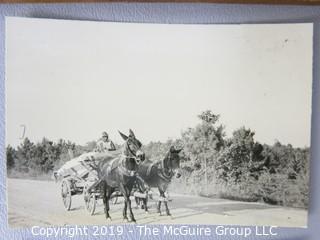 Photo: uncredited: Historical; Americana: The South: black workers transporting raw cotton in horse drawn carts