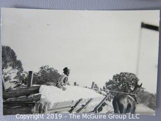 Photo: uncredited: Historical; Americana: The South: black workers transporting raw cotton in horse drawn carts